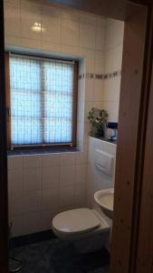 a bathroom with a toilet and a sink and a window at Ferienvilla Schwarzenbach in Schwarzenbach an der Gölsen