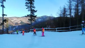 un groupe de personnes à skis dans la neige dans l'établissement Chata pod Lysou, à Malenovice