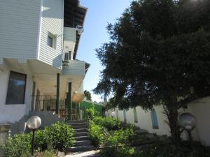 a building with stairs next to a tree at Hostel Papagal in Varna City