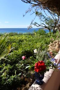 Gambar di galeri bagi Casa Rosa di Cavoli di Seccheto