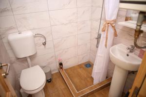 a bathroom with a toilet and a sink at Zekova Valley Cabin Durmitor in Žabljak