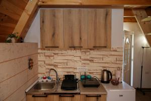 a kitchen with a sink and a counter top at Zekova Valley Cabin Durmitor in Žabljak +34 photos
