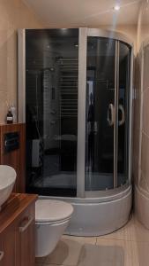 a bathroom with a shower with a toilet and a sink at Apartament Ogrodowa in Muszyna +4 photos