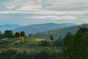 a view of a field with mountains in the background at Apartament Ogrodowa in Muszyna