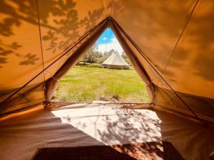 a view from inside a tent with a field and a teepee at Natur'O Médoc in Naujac-sur-Mer +11 photos