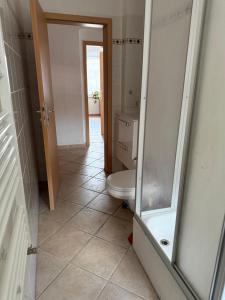 a bathroom with a toilet and a walk in shower at Cozy Room for 2 people in Dresden