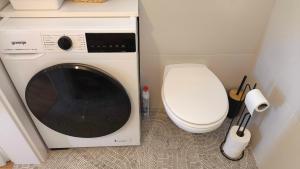 a bathroom with a washing machine and a toilet at Fresh romance by the river in Bohinj +15 photos
