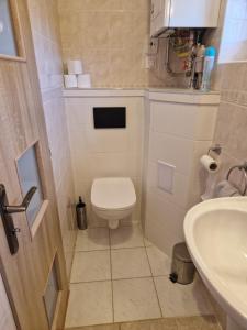 a small bathroom with a toilet and a sink at Apartman Kováčová in Kováčová