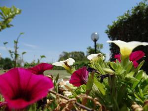 Giardino di Il Pagio