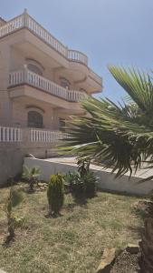 a building with palm trees in front of it at Acacia Nest in Tangier