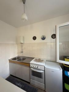 a kitchen with a sink and a stove top oven at Studio Apartman ISRA 1 in Palit