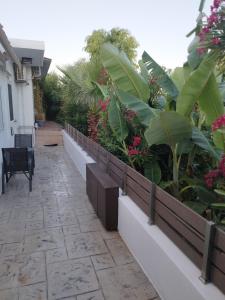 a garden with plants and flowers on a house at Ioanna Studio Διαμέρισμα κοντά στη θάλασσα. in Kolymbia
