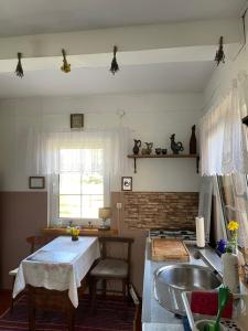 a kitchen with a sink and a table and a counter at Chatka Oli in Zubacze