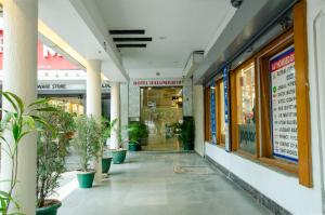 a store entrance with potted plants in a building at Hotel Jullundur 18 in Chandīgarh