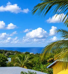 a view of the ocean from a house at Villa Cap Jaune - 30min Volcan - Rando et Confort 4 étoiles in Saint-Joseph
