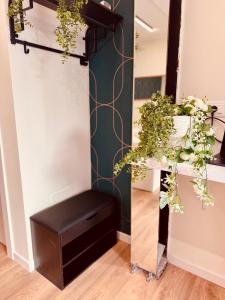 a plant stand in the corner of a room with plants at Suite in Centro in Vasto +22 photos