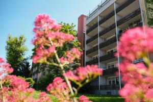 a pink flowering tree in front of a building at Albview-Apartment1 -zentral-Nähe Klinik-Therme-Agilent in Waldbronn