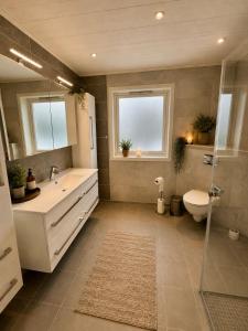 a bathroom with a sink and a toilet and two windows at Willes Wellness Paradise in Herjenes +39 photos