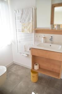 a bathroom with a sink and a toilet and a mirror at Landhaus Lena in Schönwald +36 photos