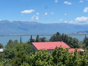 a view of a house with a red roof at Apartmani Konak in Star Dojran