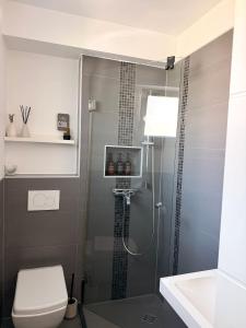 a bathroom with a shower with a toilet and a sink at Luxury Apartment Vorstetten Modern Zentral in Vörstetten +14 photos