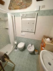 a bathroom with a toilet and a shower and a sink at Casetta Marilà in Lucignano
