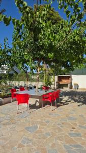 a group of red chairs around a table with a tree at Villa Alvara in Vlorë