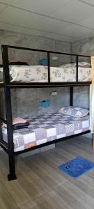 two bunk beds in a room with a rug at Yao Noi Hostel by KR in Ko Yao Noi