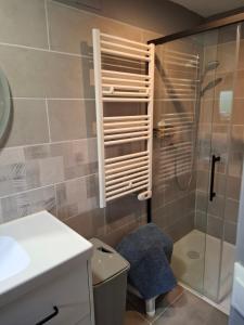 a bathroom with a shower and a toilet and a sink at la maison bleue in Marcilly-Ogny