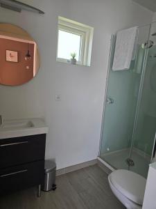 a bathroom with a shower and a toilet and a sink at Romantic Cottage in Fludir +8 photos