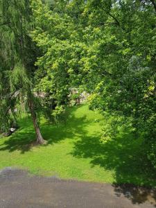 a park with green grass and trees and a road at Parkhotel Waldbreitbach in Waldbreitbach