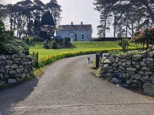 a dog walking down a road in front of a house at Drumee Lodge boutique B and B, Newcastle, County Down in Newcastle