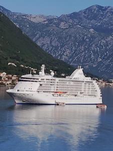 a cruise ship in the water with mountains in the background at Apartment Bay View in Kotor