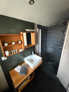 a bathroom with a sink and a shower at Maison bord de Seine à 20 min de Paris in Villennes-sur-Seine +11 photos