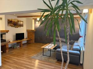 a living room with a couch and a palm tree at Domek pod Majową Górą in Kacwin