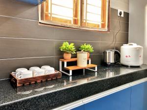 a kitchen counter with pots and pans on a counter top at Meadows Homestay in Madurai +19 photos