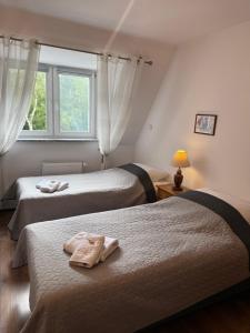 two beds in a bedroom with a window at Gosciniec Pod Brzozami in Poznań +86 photos
