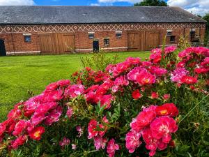 a bunch of pink flowers in front of a building at La Ferme des Coquelicots in Miraumont +6 photos