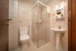 a bathroom with a shower and a toilet and a sink at Zvjezdana dolina Garni hotel in Andrijevica +38 photos