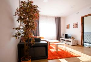 a living room with a couch and a tree at Oscar Apartments Estación in Sitges