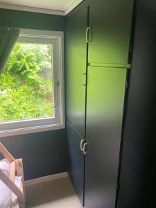 a green room with a door and a window at Tiritoppen Cabin in Loen