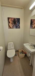 a bathroom with a wolf picture on the wall at Nord Hus 3 in Loppa +17 photos