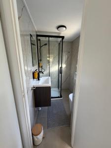 ein Badezimmer mit Waschbecken und Toilette in der Unterkunft It Paradys in Dronrijp + 13 Fotos