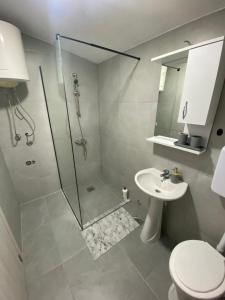 a bathroom with a shower and a toilet and a sink at Rena Comfort Apartment in Bar +9 photos