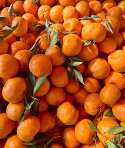 a large pile of oranges with green leaves on them at Almyra Summer Homes in Ierapetra