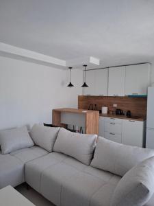 a living room with a couch and a kitchen at Apartmani Emma II in Gobovići