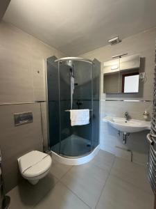 a bathroom with a shower and a toilet and a sink at Penzion Laskala in Tišnov +19 photos