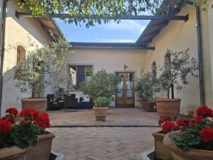 a courtyard with potted plants and flowers in pots at La Primavera B&B in Volterra