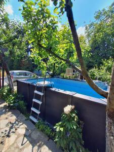 a ladder next to a swimming pool with a tree at Homely in Bansko