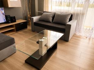 a living room with a couch and a glass table at BAIO Apart Sapphire in Libiąż